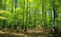 02/05/2015 AG Technëschen Asatz
